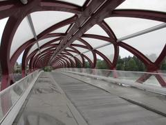 Calgary Peace Bridge over the Bow River during the day