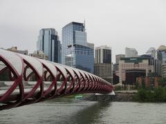 Calgary Peace Bridge at dusk with cityscape in the background