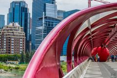 Calgary Peace Bridge with Red Ball Project art installation