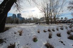 Peace Bridge in Calgary during winter with sunshine