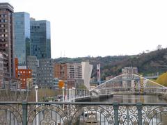 View of Bilbao's estuary from the Puente del Ayuntamiento