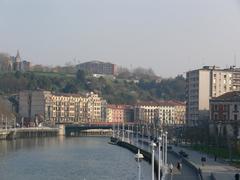 River Nervion in Bilbao seen from the Zubizuri bridge