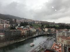 partial view of Bilbao from Albia tower