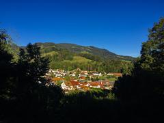 Scenic Gruyère Landscape