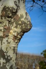 woman blending into nature through camouflage