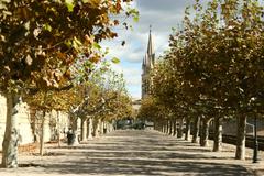 walks with Cibu and Fransois in Montpellier France