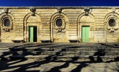 Ancient wooden door with elaborate carvings in Montpellier, France