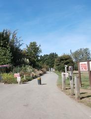 A way into the University Parks