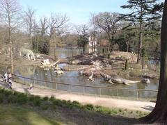 Dinosaures Du Crystal Palace