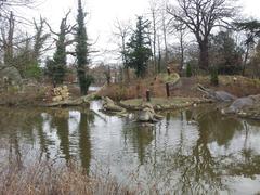 Crystal Palace dinosaurs across the lake