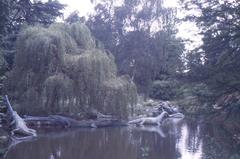 Dinosaur sculptures at Crystal Palace Park in 1988