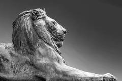 Lion statues at Rhodes Memorial in Cape Town