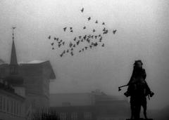 Fog over Copenhagen cityscape