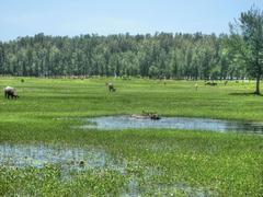 Himchari National Park in Bangladesh