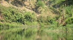 Chittagong Park forest with lush green trees