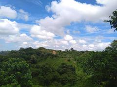 Natural heritage site in Bangladesh experiencing fresh air