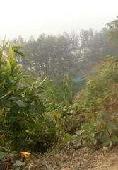 view from top of Himchari National Park