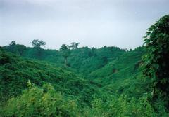 Himchari hills in Cox's Bazar, Bangladesh