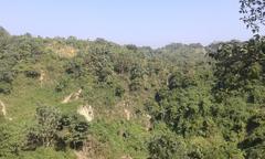 Himchari natural heritage site in Bangladesh