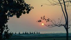 Sunset at a natural heritage site in Bangladesh