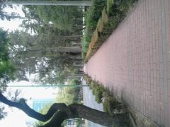 Panoramic view of Parque Hundido in Mexico City