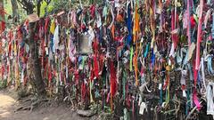 Detail of 'The Wishing Tree' by Antonio Gritón in Parque Hundido, Mixcoac, Mexico City