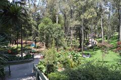 entrance view of Parque Hundido from the west