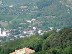 View of Colli Euganei from Monte Gemola