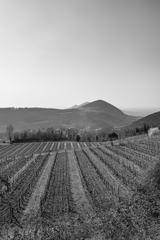 Scenic view of Colli Euganei and Cinto Euganeo in Padova, Italy