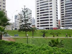 thick fog covering Lima in winter