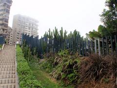 Thick fog covering Lima in winter