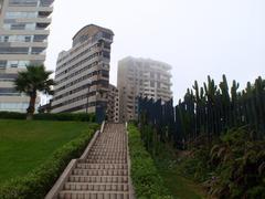 Thick fog covering Lima in winter