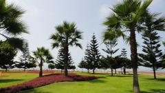 A Park in Lima, Peru