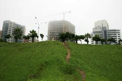 thick fog covering Lima in winter