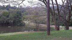 Natural bridge dividing two lakes