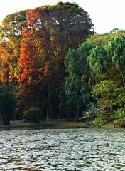 trees at the edge of a lake