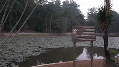 serene lake surrounded by trees