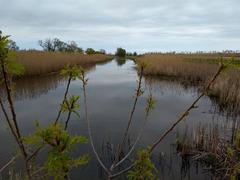 Big Creek National Wildlife Area in autumn