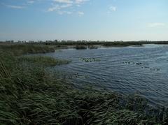 Big Creek National Wildlife Area in Norfolk County, Ontario