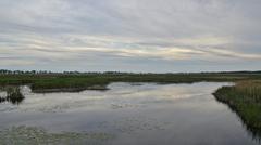 Big Creek National Wildlife Area in Norfolk County, Ontario