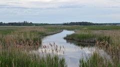 Big Creek National Wildlife Area in Norfolk County, Ontario