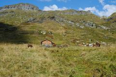 Chalets de Moëde at Réserve Naturelle de Passy