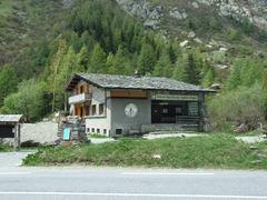 Panoramic view of Chamonix valley with Mont Blanc in the background