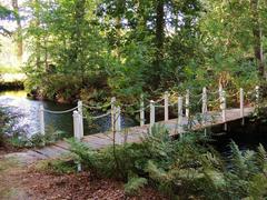 Bridge over a canal in Giethoorn