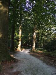 Path through a forested area with tall trees and Rijksmonument 408909