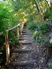 stone staircase in Parco Regionale dei Colli Euganei