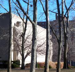 Brooklyn War Memorial in Cadman Plaza on a sunny midday