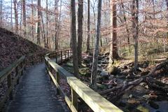 Cascade Springs Nature Preserve boardwalk