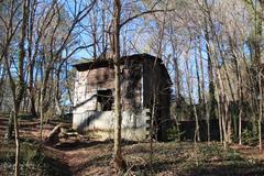 Cascade Springs Nature Preserve, Atlanta