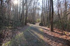 Cascade Springs Nature Preserve in Atlanta